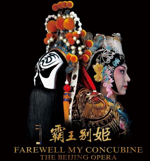 学历证书图像采集穿什么